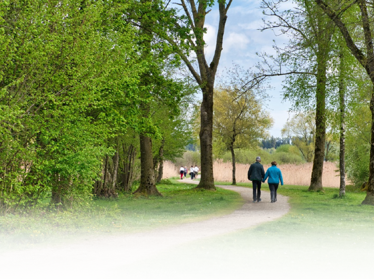 Screenshot 2025-12-11 134852